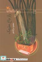 کتاب راز باغ متروک - اثر محمود برآبادی - نشر کانون پرورش فکری کودکان و نوجوانان