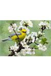 پازل نوا Nova 1000 Piece Harbinger of Spring Puzzle / NOVA41026