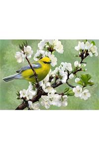 پازل نوا Nova 1000 Piece Harbinger of Spring Puzzle NOVA41026 