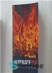 دانلود کتاب The Psychology of Arson: A Practical Guide to Understanding and Managing Deliberate Firesetters – روانشناسی آتش سوزی: یک...