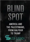 دانلود کتاب Blind Spot: America and the Palestinians, From Balfour to Trump – نقطه کور: آمریکا و فلسطینی ها، از...