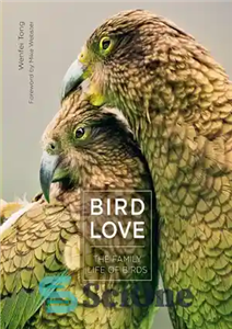 دانلود کتاب Bird Love: The Master’s Art of Living Colors – عشق پرنده: هنر استاد در زندگی رنگ ها