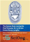 دانلود کتاب The Human Brain during the First Trimester 40- to 42-mm Crown-Rump Lengths: Atlas of Human Central Nervous System...