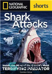 دانلود کتاب Shark Attacks: Inside the Mind of the Ocean’s Most Terrifying Predator – حملات کوسه: درون ذهن ترسناک ترین...