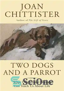 دانلود کتاب Two Dogs and a Parrot: What Our Animal Friends Can Teach Us About Life – دو سگ و...