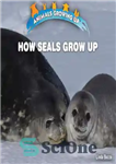 دانلود کتاب How Seals Grow Up – مهر و موم چگونه بزرگ می شود