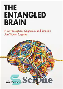 دانلود کتاب The Entangled Brain: How Perception, Cognition, and Emotion Are Woven Together – مغز درهم تنیده: چگونه ادراک، شناخت...