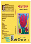 دانلود کتاب SURPRISES: A Collection of Short Stories – سورپرایز: مجموعه ای از داستان های کوتاه