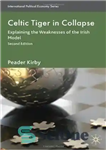 دانلود کتاب Celtic Tiger in Collapse: Explaining the Weaknesses of the Irish Model – ببر سلتیک در فروپاشی: توضیح نقاط...