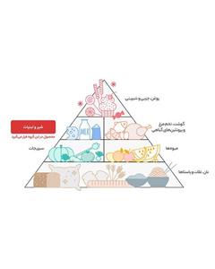 ماست چیلی کاله مقدار 400 گرم
