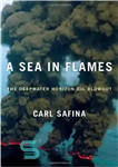 دانلود کتاب A Sea in Flames: The Deepwater Horizon Oil Blowout – دریایی در شعله های آتش: فوران نفتی افق...