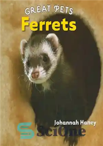 دانلود کتاب Ferrets (Great Pets) – فرت (حیوانات خانگی بزرگ)