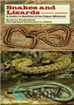 دانلود کتاب Snakes and Lizards in Your Pocket: A Guide to Reptiles of the Upper Midwest (Bur Oak Guide) –...