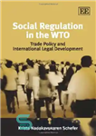 دانلود کتاب Social Regulation in the WTO: Trade Policy and International Legal Development مقررات اجتماعی در سازمان تجارت جهانی:... 