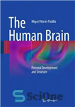 دانلود کتاب The Human Brain: Prenatal Development and Structure – مغز انسان: رشد و ساختار قبل از تولد