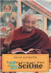 دانلود کتاب The Wish-Fulfilling Jewel: The Practice of Guru Yoga According to the Longchen Nyingthig Tradition – جواهر برآورده کننده...