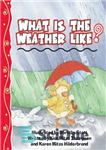 دانلود کتاب What Is the Weather Like Today  – امروز آب و هوا چه جوری هست؟