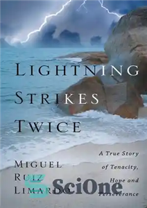 دانلود کتاب Lightning Strikes Twice: A True Story of Tenacity, Hope, and Perseverance – صاعقه دو بار می زند: داستانی...