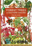 دانلود کتاب Forest trees of southern Thailand. Vol. 1 A-Es – درختان جنگلی جنوب تایلند. جلد 1 A-Es