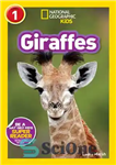 دانلود کتاب National Geographic Readers: Giraffes – خوانندگان نشنال جئوگرافیک: زرافه ها