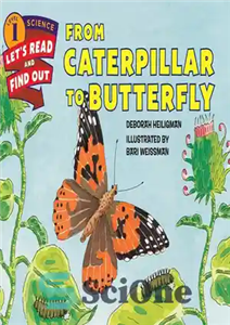 دانلود کتاب From Caterpillar to Butterfly از کاترپیلار تا پروانه 