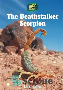 دانلود کتاب The Deathstalker Scorpion – Deathstalker Scorpion