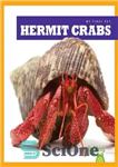 دانلود کتاب Hermit Crabs – خرچنگ های گوشه نشین