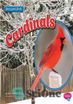 دانلود کتاب Cardinals – کاردینال ها