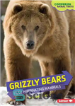 دانلود کتاب Grizzly Bears: Huge Hibernating Mammals – خرس گریزلی: پستانداران عظیم الجثه در خواب زمستانی