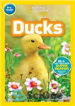 دانلود کتاب National Geographic Readers: Ducks (Pre-reader) – نشنال جئوگرافیک ریدر: اردک (پیش خوان)