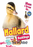 دانلود کتاب Mallard Ducklings – جوجه اردک ملارد