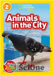 دانلود کتاب National Geographic Readers: Animals in the City (L2) – نشنال جئوگرافیک ریدر: حیوانات در شهر (L2)