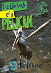 دانلود کتاب The Life Cycle of a Pelican – چرخه زندگی پلیکان