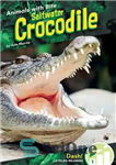 دانلود کتاب Saltwater Crocodile – تمساح آب شور