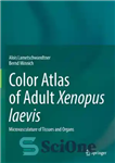 دانلود کتاب Color Atlas of Adult Xenopus laevis: Microvasculature Tissues and Organs اطلس رنگی بزرگسالان ریز... 