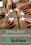 دانلود کتاب Efficient Organization: A Governance Approach – سازمان کارآمد: رویکرد حکمرانی
