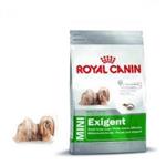 غذای خشک مغزدار Royal Canin مخصوص سگ های بدغذای نژاد کوچک - 800گرمی