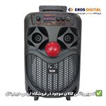 اسپیکر بلوتوثی مدل NDR-P66میکروفون (برند NDR اصل)