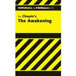 کتاب The Awakening اثر Maureen Kelly and Kate Rudd انتشارات CliffsNotes on Brilliance