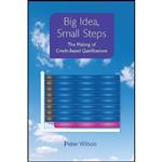 کتاب Big Idea, Small Steps اثر Peter Wilson انتشارات NIACE