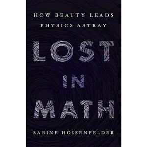 کتاب Lost in Math اثر Sabine Hossenfelder انتشارات Basic Books