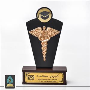 تندیس فارغ التحصیلی رشته های مختلف پزشکی