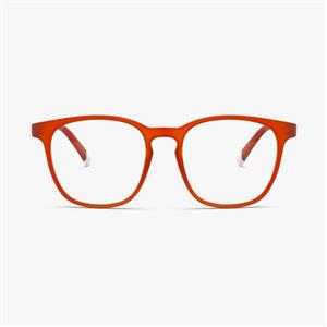 عینک محافظ مشترک بارنر DALSTON WINERY