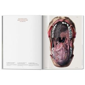 کتاب Atlas of Human Anatomy and Surgery اثر J. M. Bourgery انتشارات تاشن