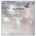 کتاب پرنده ای که پر نزد اثر محمد دهریزی انتشارات کانون پرورش فکری کودکان و نوجوانان