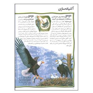کتاب 100 حقیقت درباره ی پرندگان اثر جینی جانسون انتشارات سایه گستر