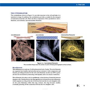 Mcat kaplan biology review
