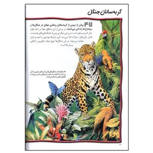 کتاب 100 حقیقت درباره ی گربه سانان بزرگ اثر کامیلا دلابرویر انتشارات سایه گستر 