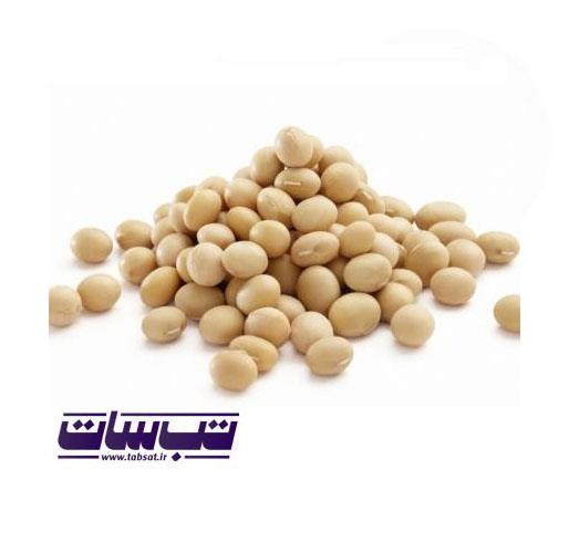 سویا فله ای