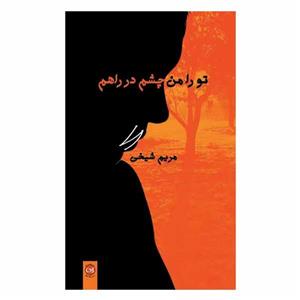 کتاب تو را من چشم در راهم اثر مریم شیخی نشر پیکان 